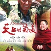 舟山市田家炳中学全体党员观看《天上的菊美》
